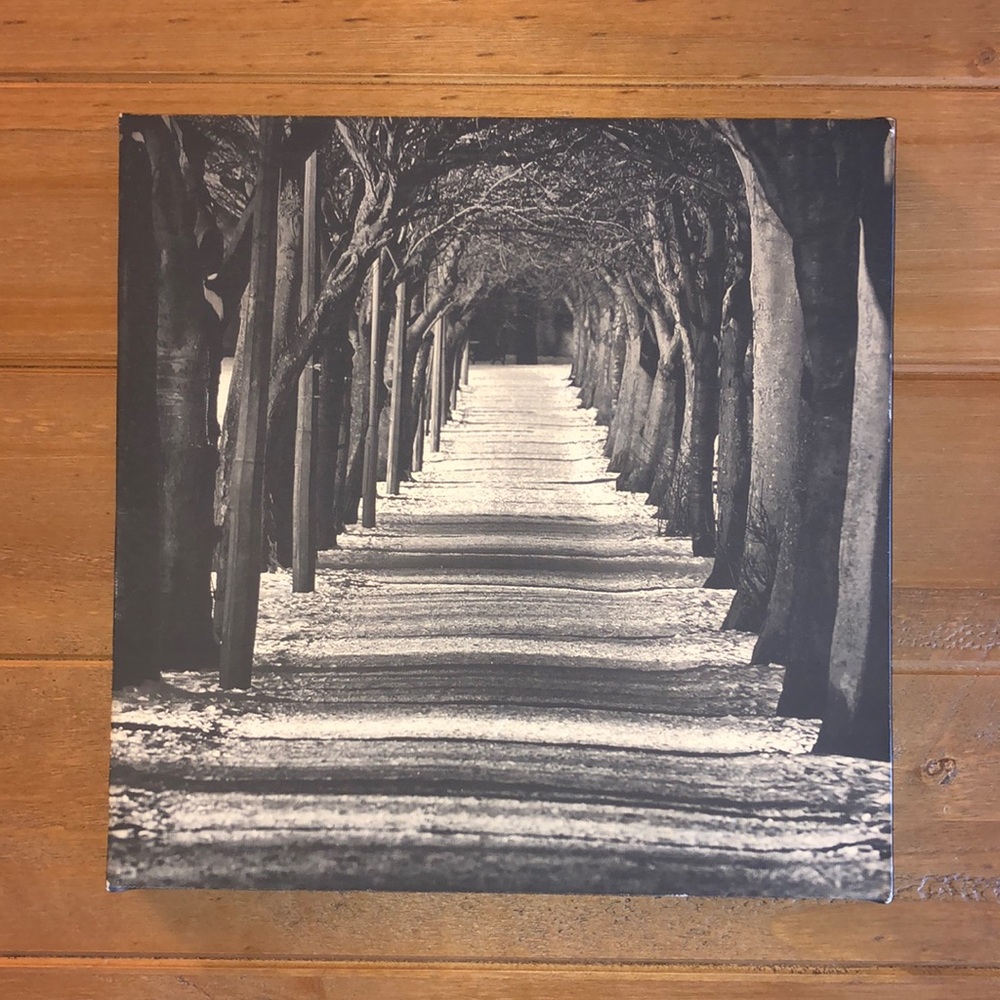 Forest canvas picture art 🌿 - Picture 1 of 2